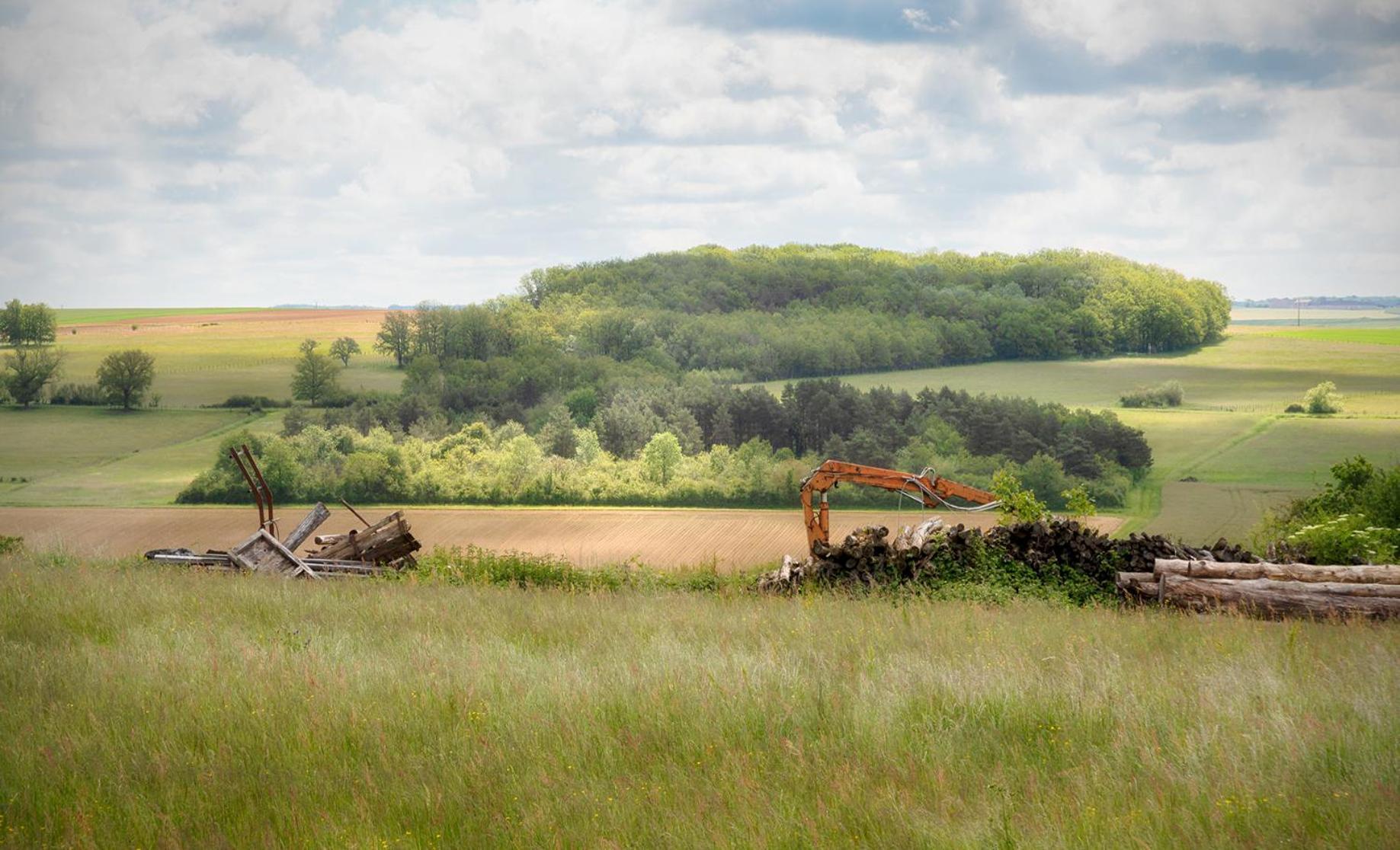 Gite De Charme, Grand Confort Marolles-sous-Lignieres Buitenkant foto